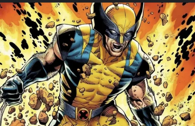 Wolverine: Gruff Loner