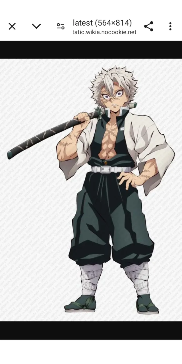 Sanemi Shinazugawa: Wind Hashira