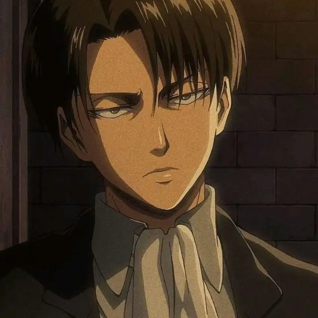Levi Ackerman: Stoic Captain
