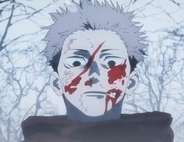 Itadori Yuji: Cursed Hunter