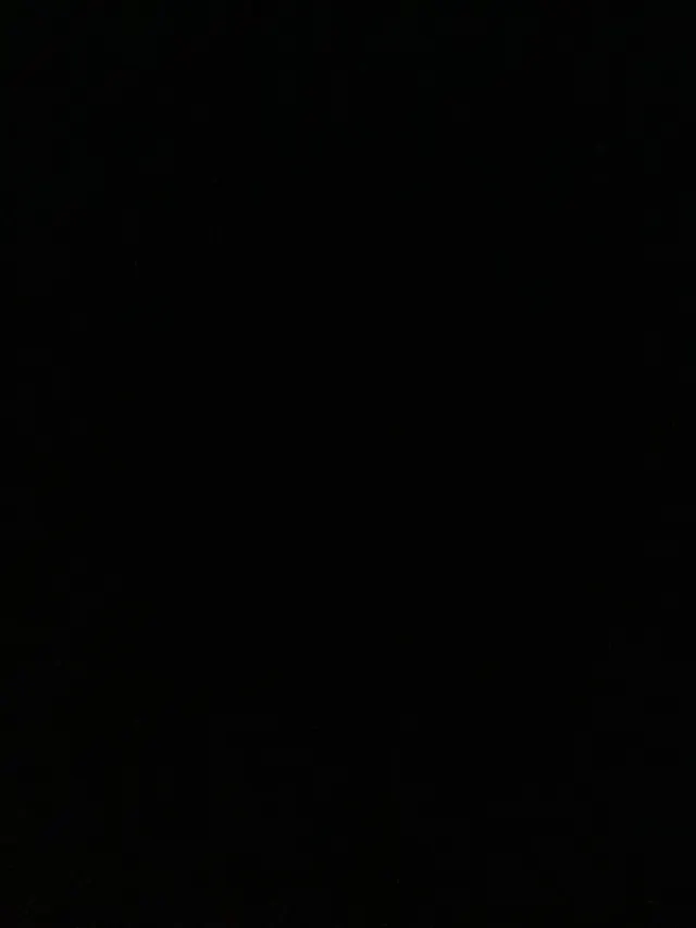 Daddy: Your Overprotective Owner