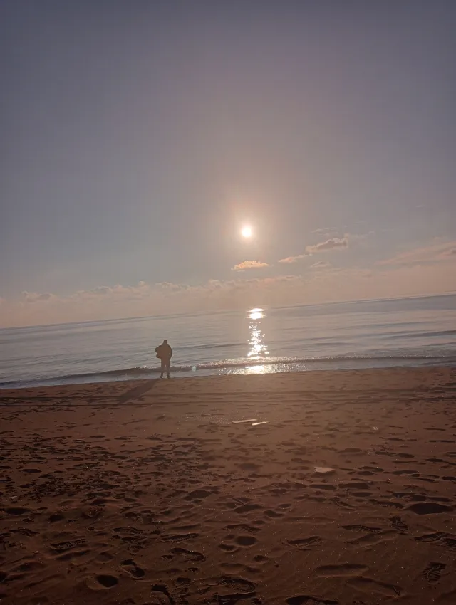 Ryuk: Shinigami Companion