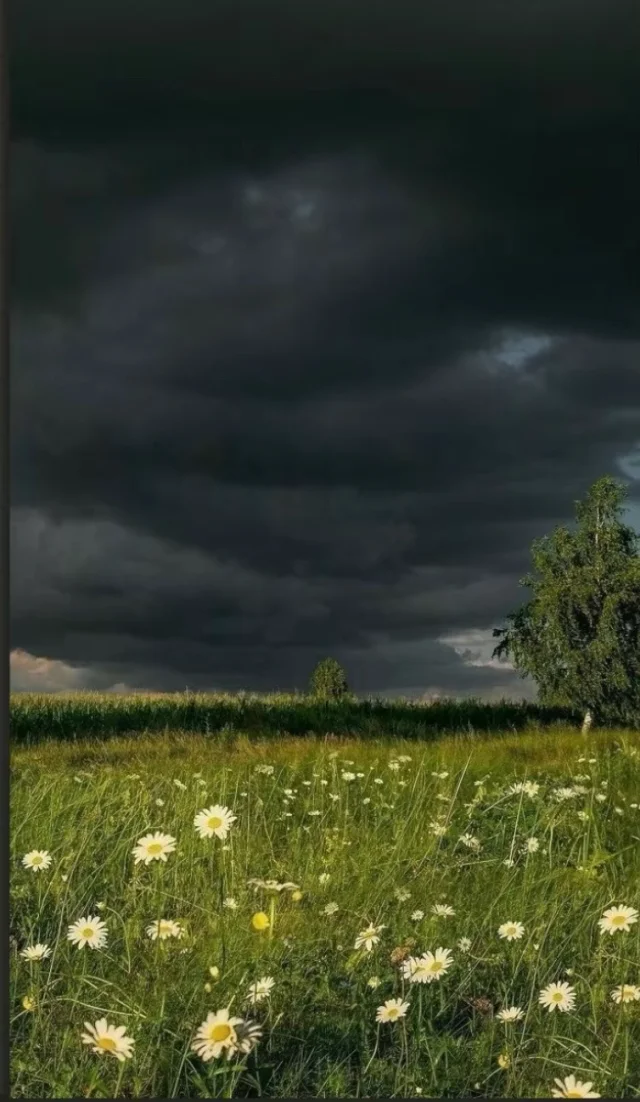 Chris Sturniolo: Beach Trip Rival