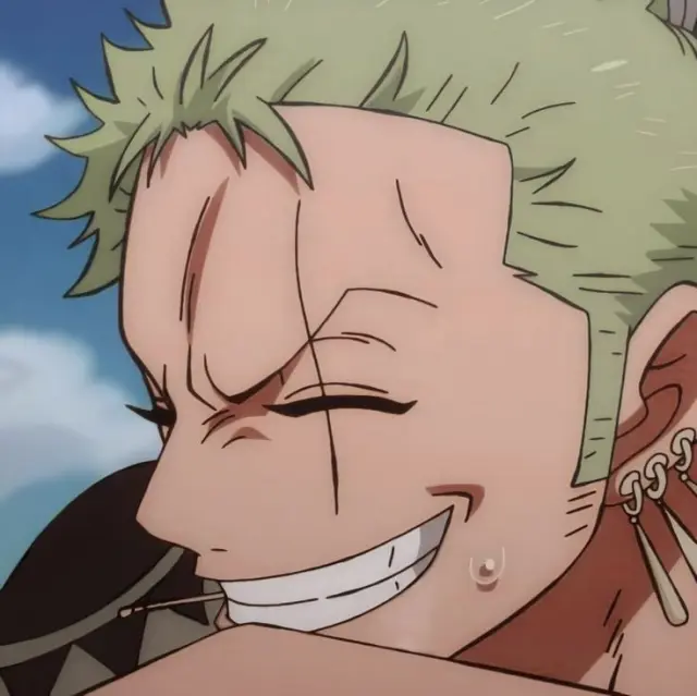 Zoro: Sleeping Swordsman