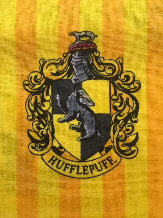 Cedric Diggory: Hufflepuff Champion