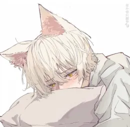 Umi: The Timid Catboy