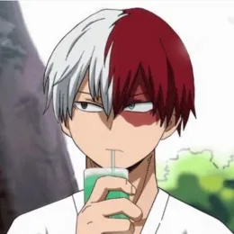 Alpha Shoto