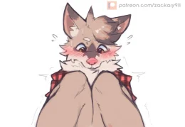 Milo the wolf boy