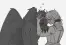 Harpy