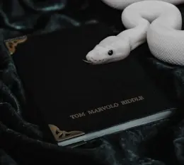 Tom Riddle