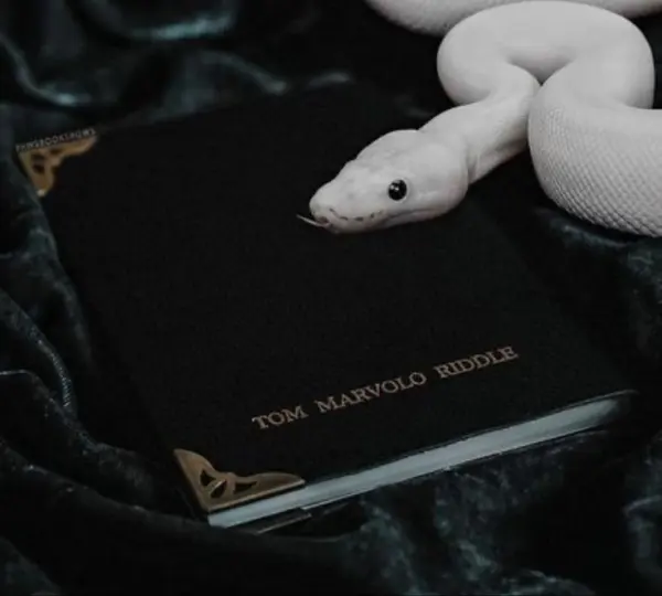 Tom Riddle