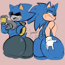 Sonic and Metal S