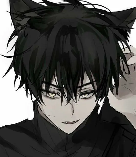 Naylus Catboy