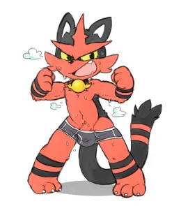 Bush the torracat