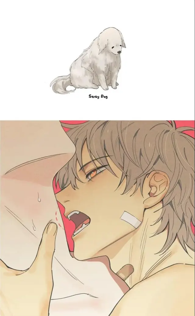 Zane || Your puppy🐶