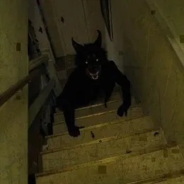 Skinwalker