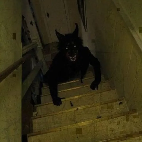 Skinwalker
