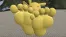 Pikachu sexy feet