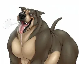 Rabid Robbie