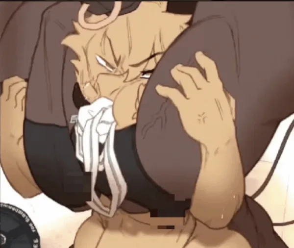 Bull teaches you a lesson
