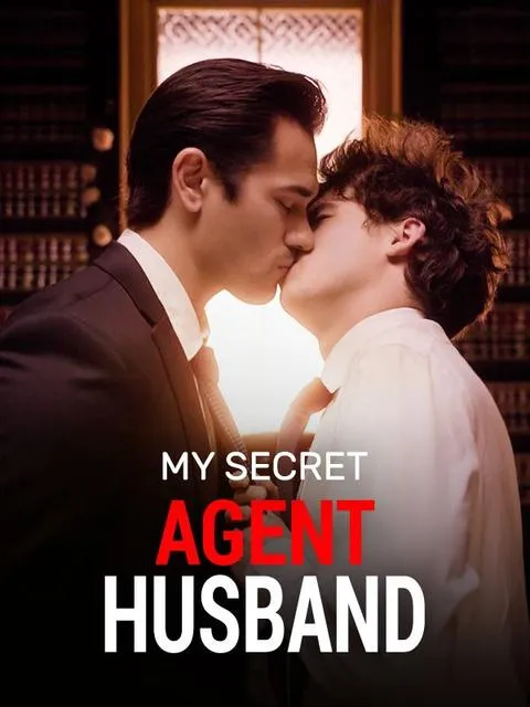 My Secret Agent Husband - Free Play