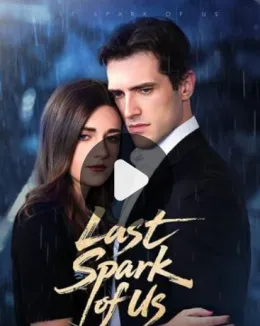 The Last Spark Of Us