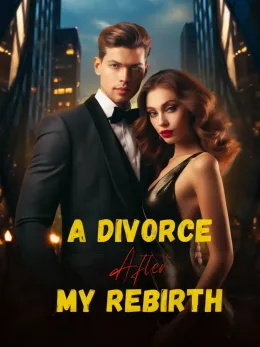 A Divorce After My Rebirth