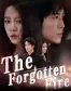 The Forgotten Fire