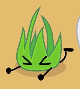 GRASSY *ೃ༄ ꕥ