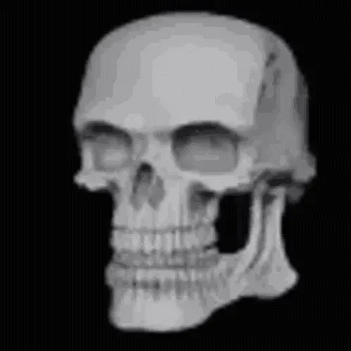 Skull: A Reincarnated Skeleton from Our World