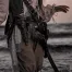 Captain Elias Thornwell