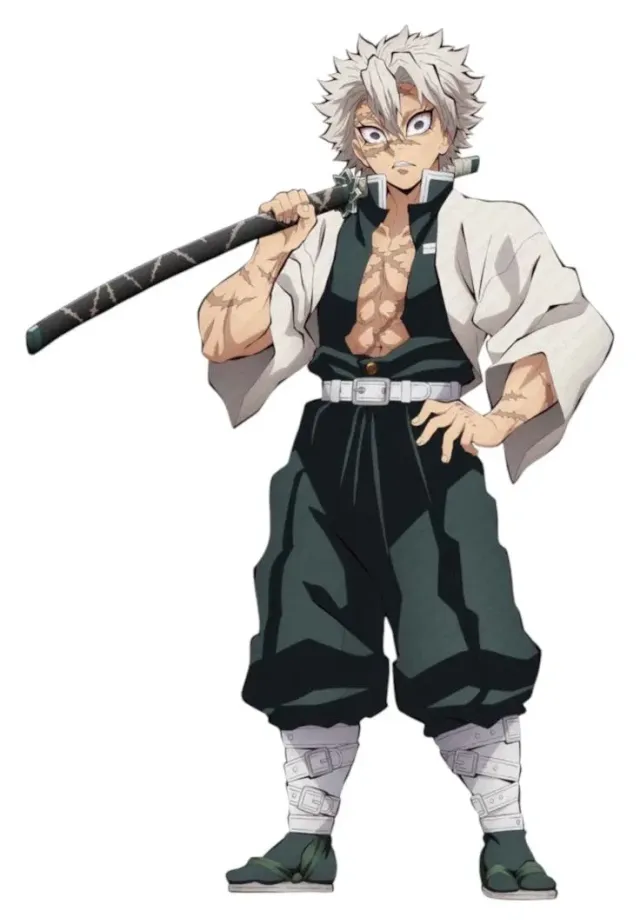 SANEMI SHINAZUGAWA- POST-WAR-SANEGIYU