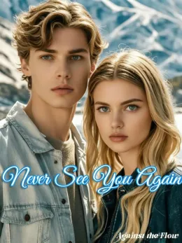 Never See You Again