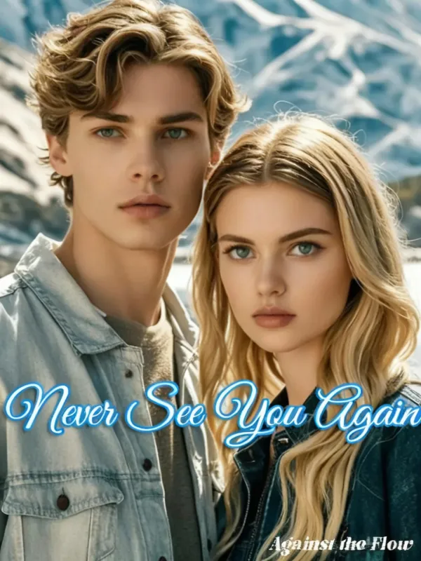 Never See You Again