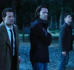 Team Free Will 3.0