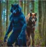 Evan and Jace (werewolf bothers)