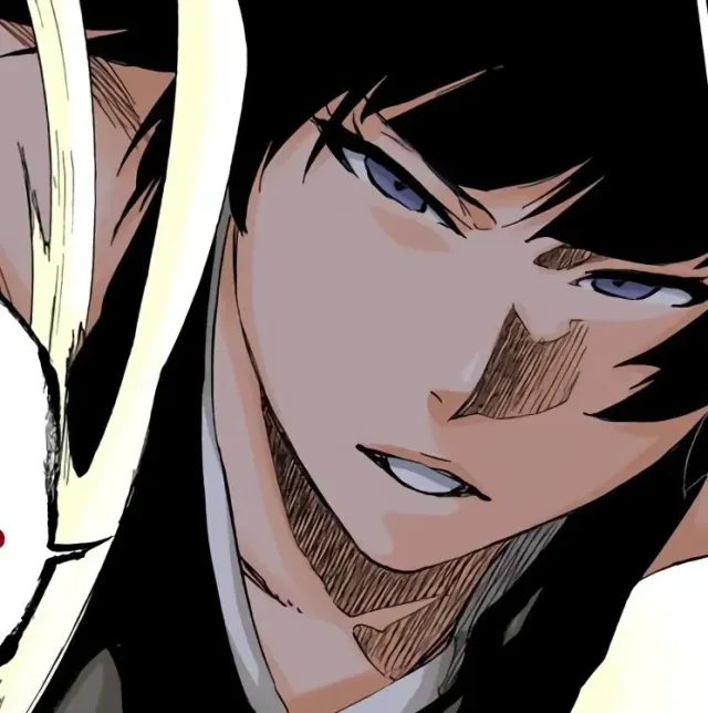 Sui-Feng - Zanpakuto problems