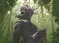 Forest twink - Arne