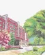 All Girls school