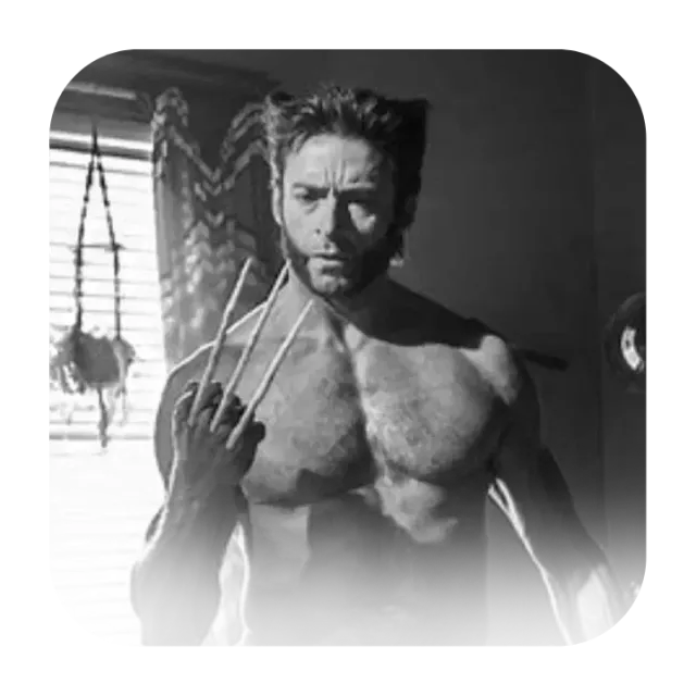 X-Men ꒰ Logan Howlett ꒱