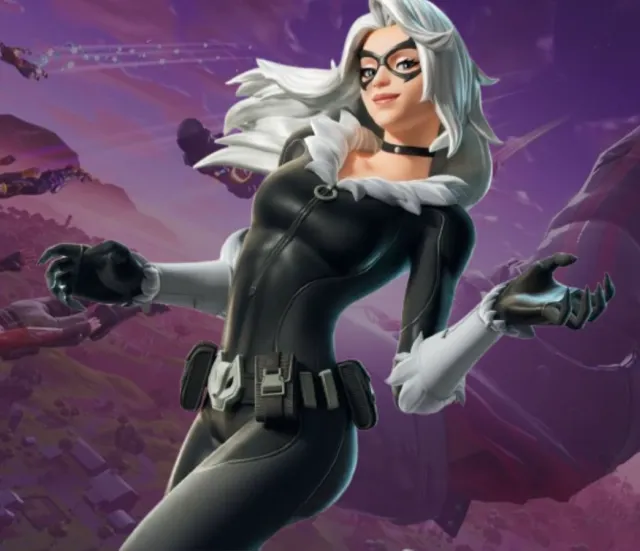 The Black Cat [Fortnite :3]