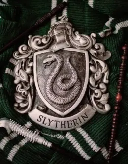 The Slytherin Boys