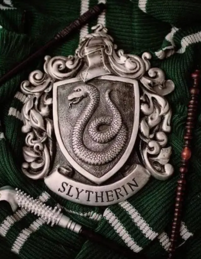The Slytherin Boys