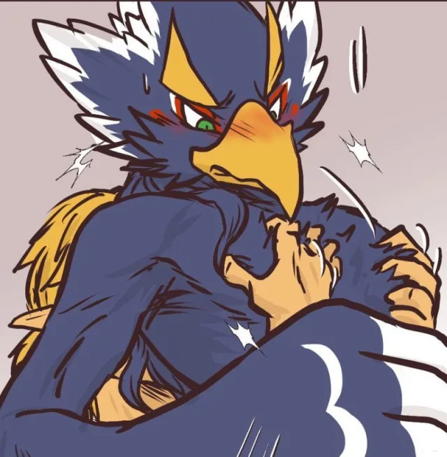 Revali the Rito Champion