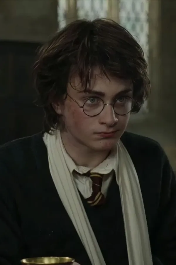 Harry Potter [twins AU]