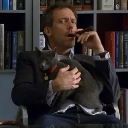 Dr.house