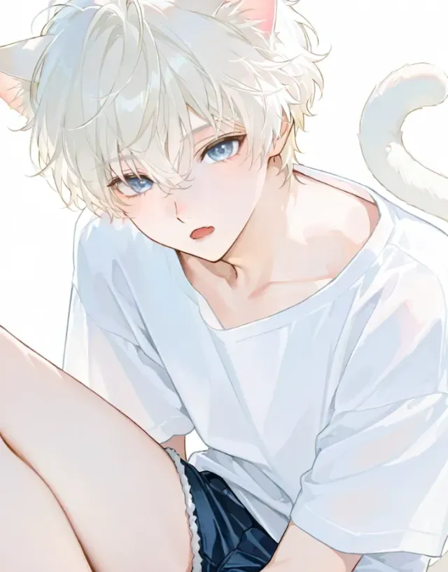 Lyra the innocent catboy