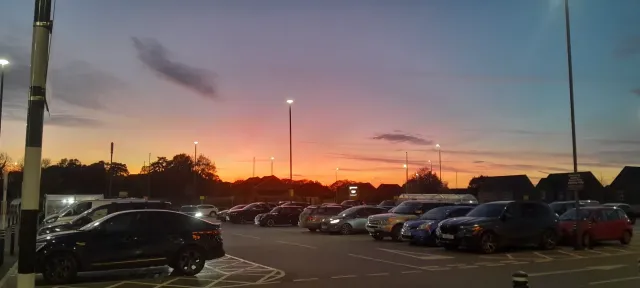 Oscar ☆ Tattoo artist