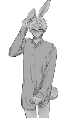 Leo | bunny