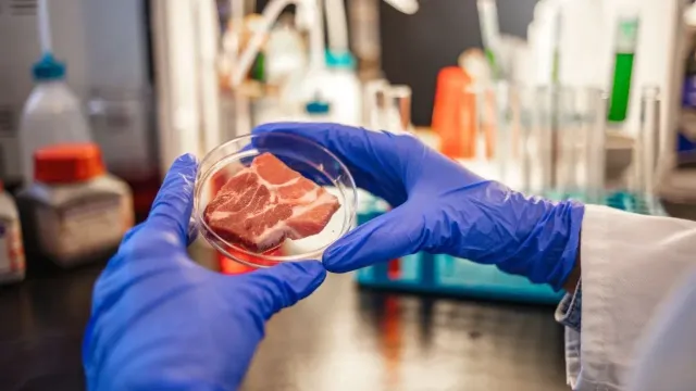 jabalavious the third king of the siberian fronts